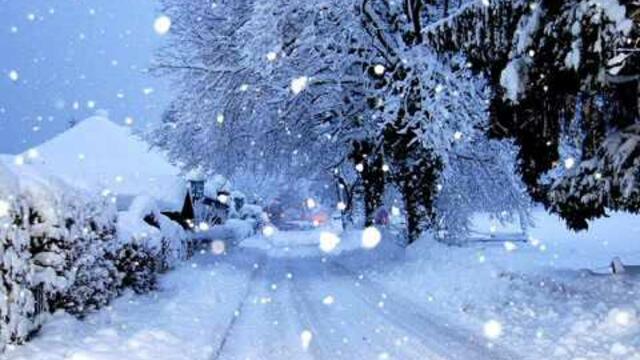 Бяла Коледа