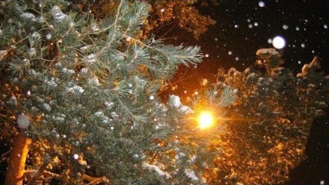 Юлия Ткаченко  -   В ПЕРЕУЛКАХ ДЕКАБРЯ.