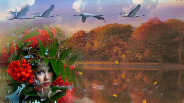 Отшумело отзвенело бабье лето