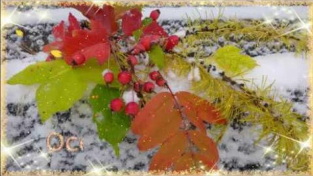 ОСЕННИЙ ПОЦЕЛУЙ  - так Осень целуется с Зимою