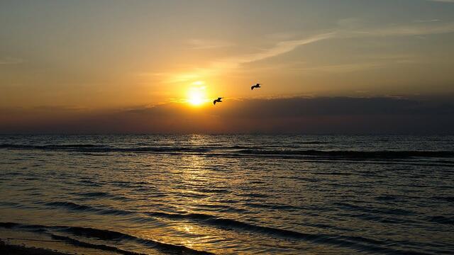 ЗАКАТ, ЛЮБОВЬ И САКСОФОН