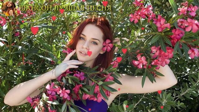 ШАНСОН 2019 - Очень красивые песни со смыслом!