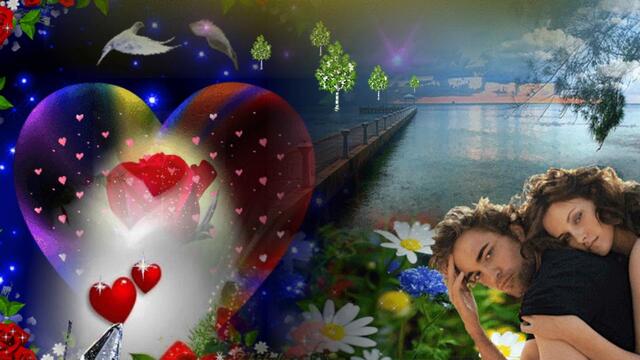 Ирина Скибина  -  " Цветок любви"