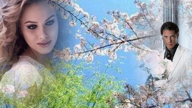 Белая, белая сирень.