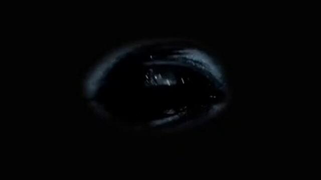 ==Playmobil The Movie (2019)==