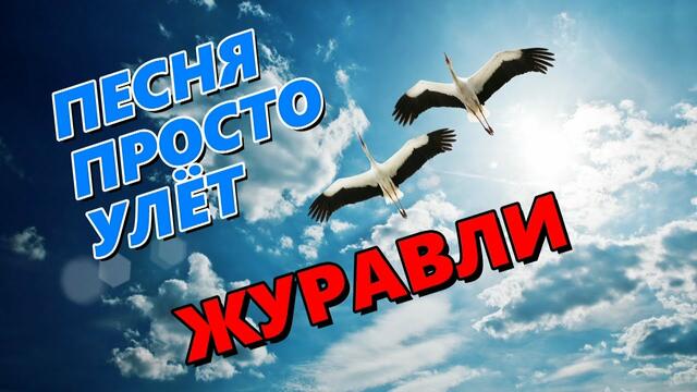 Евгений Войнов - Журавли