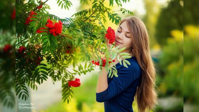 Алик Бендерский — «Рябиновая ночь»