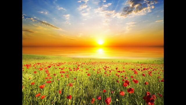 Музыка Сергей Чекалин   -   Рассвет.