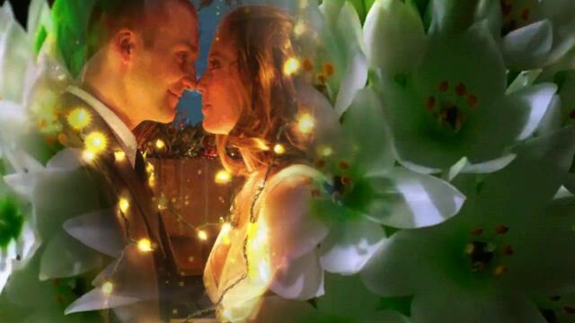 Стелла Джанни  -  Лилией Белой меня вы назвали.