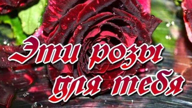 Евгений Коновалов   -  " Эти розы для тебя"