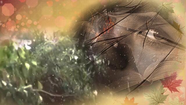 Валерий Сёмин  -  Домик у дороги