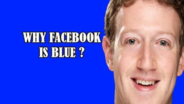 DekoTV  - Why Facebook is blue