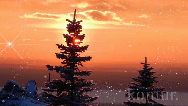 СПОКОЙНОЙ НОЧИ!