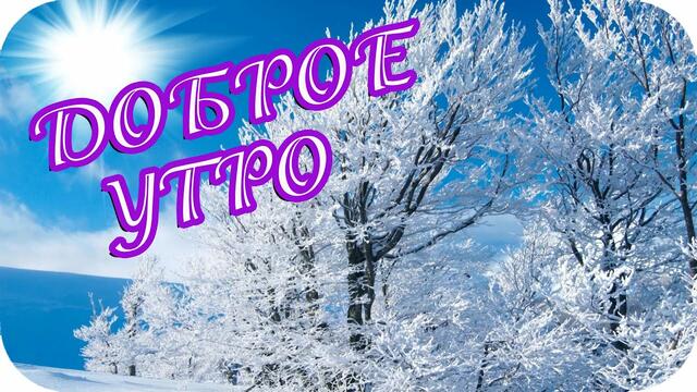 Доброе утро! ❤️ Зимний приветик! ❤️ Волшебной, нежной зимы желаю! ❤️