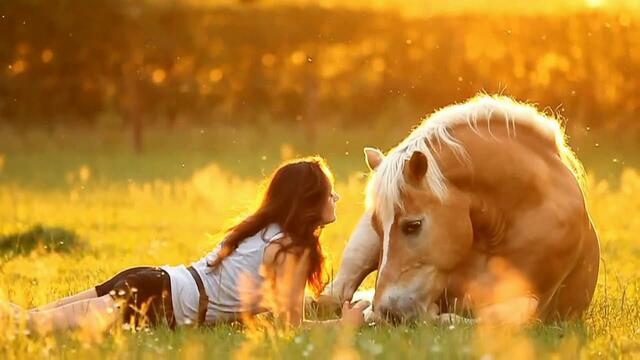Александр Галицкий  -  Пусть будет так