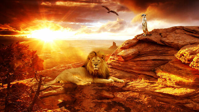 🐩  Цар Лъв  🐩