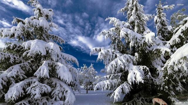 *** Красива зима ... (Aka Music - "Winter) ***