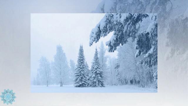 ❄️Суровый февраль❄️ Манящая даль❄️ Красивая зимняя природа