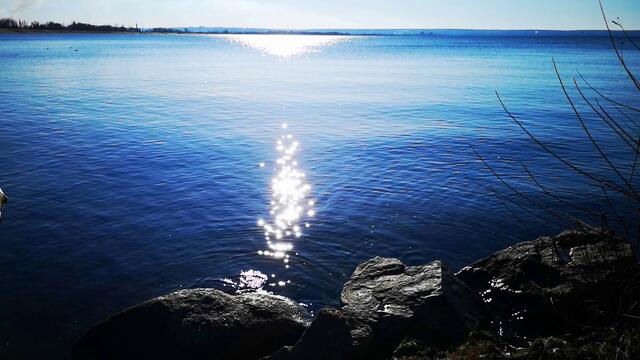 Николай  Берег  -   АФГАН