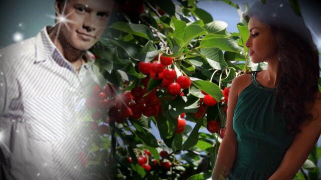 Влалия   -   Спелая вишня!