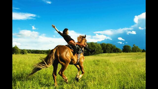 Валерий Власов  -  ЗАГУЛЯКА!