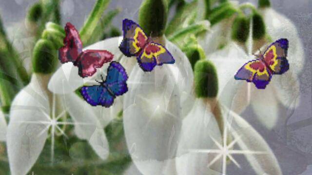 Доброе утро! С весенней капелью! Красивый музыкальный видеоролик!