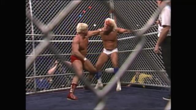 NWA: Ric Flair vs Ron Garvin (Steel Cage match for the NWA World Heavyweight Championship)