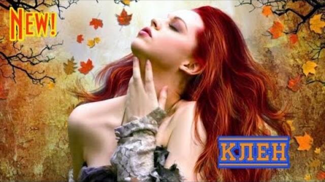 СЕРГЕЙ ЗАВЬЯЛОВ - КЛЕН