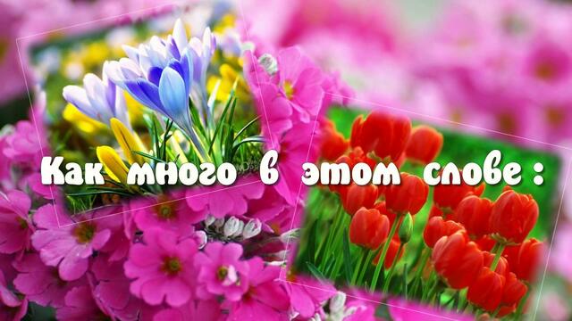 Доброе утро! ❤️ Пусть к тебе заглянет солнце и исполнятся мечты! ❤️