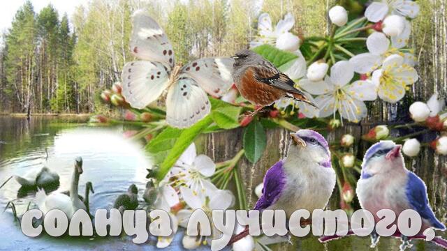 Доброе утро! ❤️ С новой весной вас, с каплями первыми! ❤️ Красивое весеннее пожелание ❤️