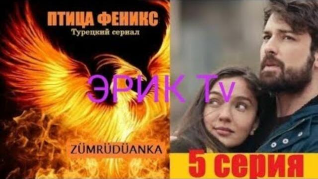 Турецки феникс турецкий. Птица Феникс турецкий.