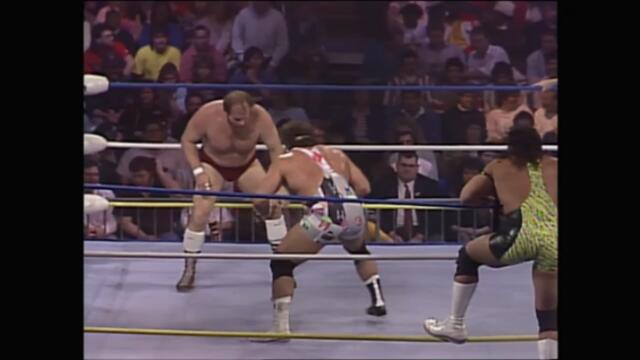 The Steiner Brothers vs Arn Anderson and Ole Anderson (NWA World Tag Team Championship)