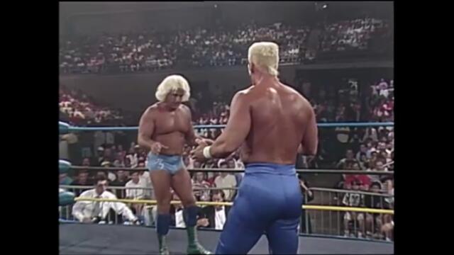 Sting vs Ric Flair (NWA World Heavyweight Championship)