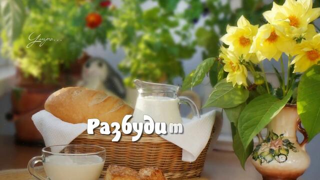 Доброе утро! ❤️ Пусть радостным светом лицо улыбнется! ❤️ Красивое пожелание ❤️