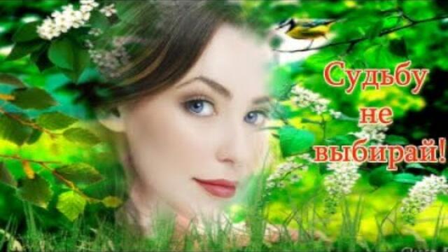 Стелла Джанни  -  Судьбу не выбирай