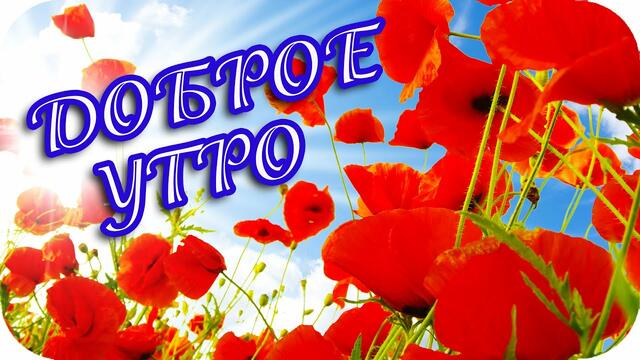 Доброе утро!  ❤️ Всем позитива и привета!  ❤️ Замечательное пожелание! ❤️