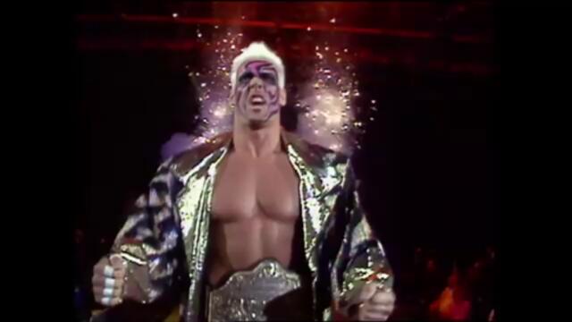 Sting vs Sid Vicious (NWA World Heavyweight Championship)