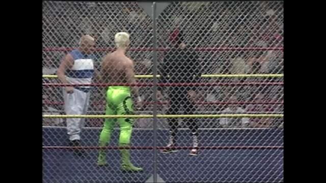 Sting vs The Black Scorpion (Steel cage match for the NWA World Heavyweight Championship)