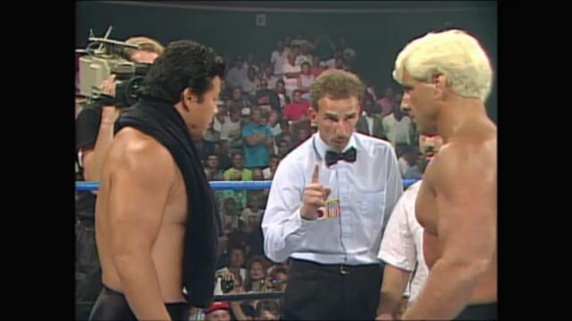 Ric Flair (c-WCW) vs Tatsumi Fujinami (c-NWA) (Singles match for the NWA and WCW World Heavyweight Championships)