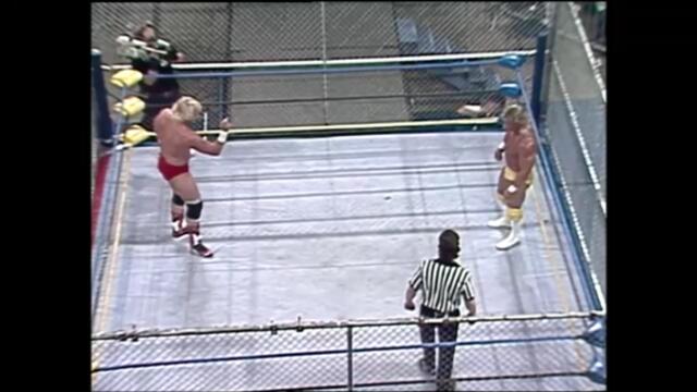 Lex Luger vs Barry Windham (WCW World Heavyweight Championship)