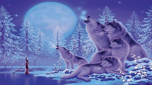 🐺 Викът на дивите вълци . 🎸. (Guitar Instrumental) 🐺