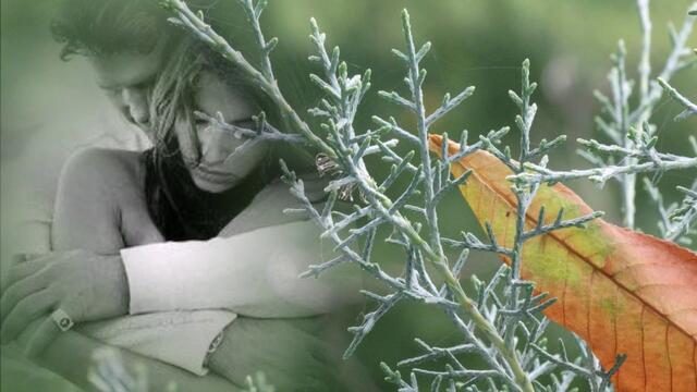 Сергей Серафимов и Евгения Лихачева  - Я так сейчас хочу твое тепло