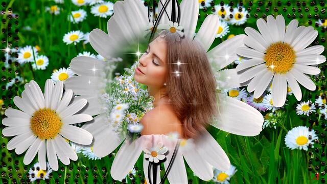 BAND ODESSA  -  " Ромашка белая"