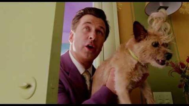 котка с шапка филм 2003