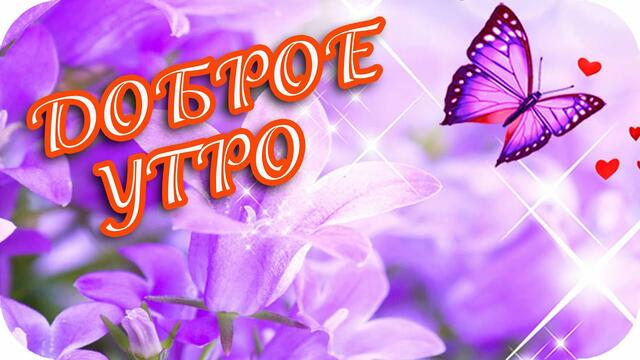 Доброе утро! ❤️ Дарите всем красивые слова! Ведь в них –дыхание и сила…❤️