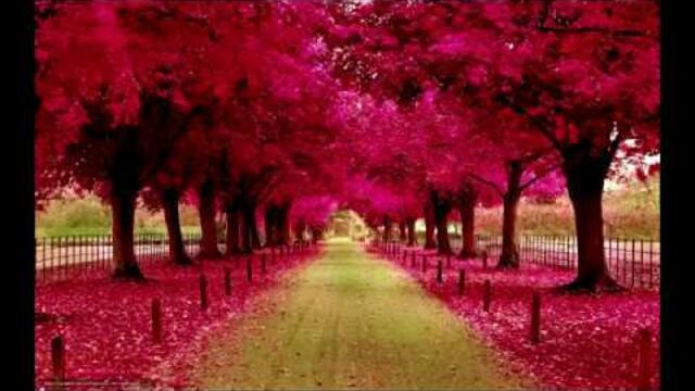 Сборник-9. Музыка Сергея Чекалина.