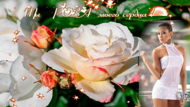 Юрий Кость  -   Мой цветок, Ты роза моего сердца!