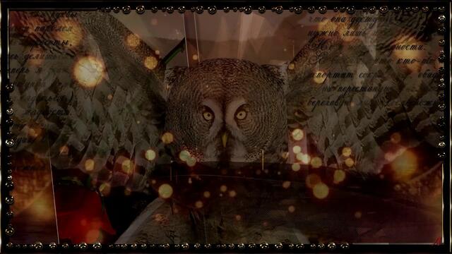 Константин Никольский   -   Ночная птица