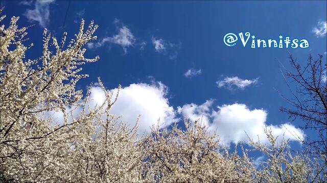 Найкращі Українські Пісні | ГУЦУЛКА КСЕНЯ  | ЗбIрка | Welcome @MobyLife  @Vinnitsa