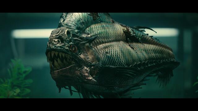 Piranha - Trailer